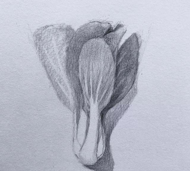 素描基础技巧,零绘画步奏讲解实物发明小方法的教程有什么启发图片