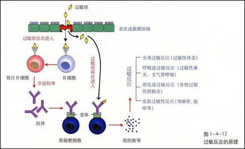 商标注册号在哪里看