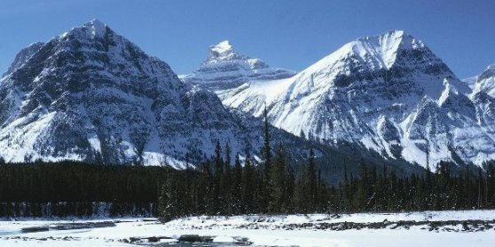 冬至祝福朋友圈的句子