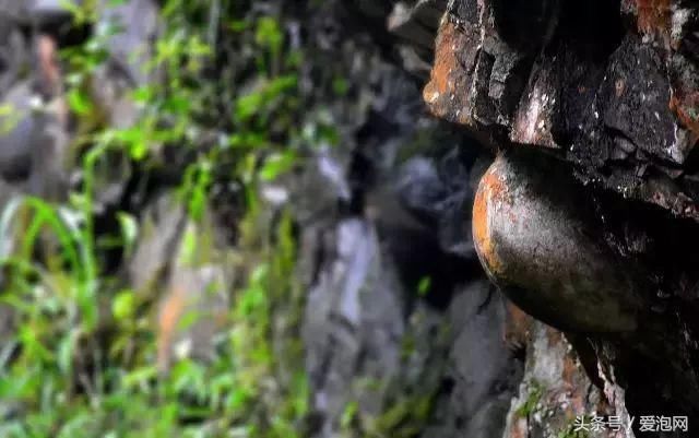 贵州踏青好去处：凤岗神秘古村、三都姑鲁寨石头会产蛋的水族村寨