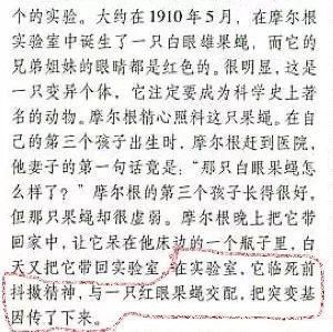 回忆当初 t012b4ad33f4f9b2184.jpg