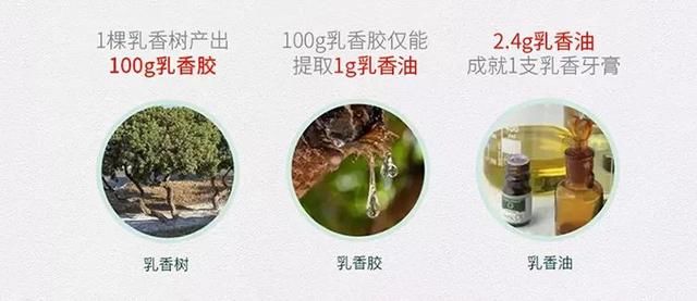 我花4000块做的牙齿护理,竟然还比不过一支牙