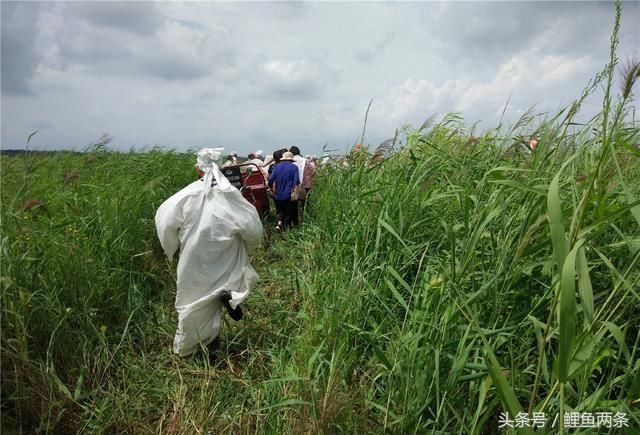穷小子投奔叔叔,叔叔每月给他八千块,乞丐却说你叔叔已死了一年