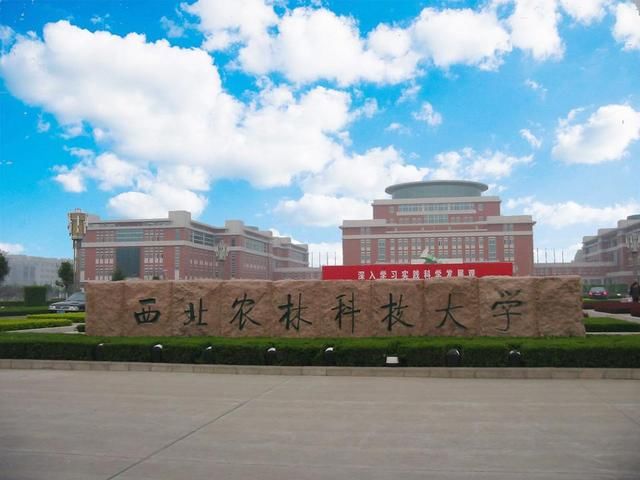 985大学中录取分数最低的五所大学 天王盖地