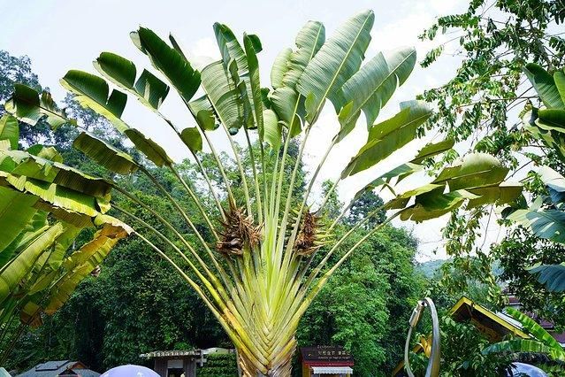 7天6晚，玩转傣历新年泼水盛会