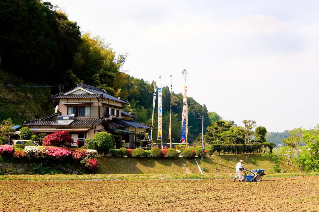 一起属于发达国家,日本和韩国的乡村却有着完