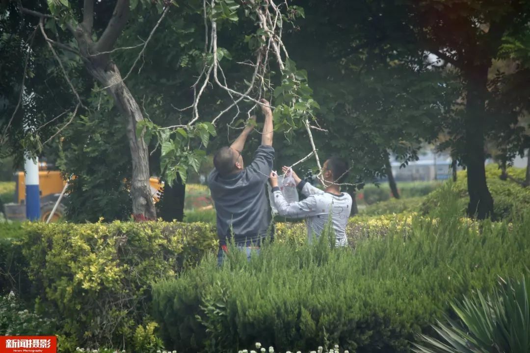 太危险！滨州205国道惊现这样一群人！千万不要这样做！