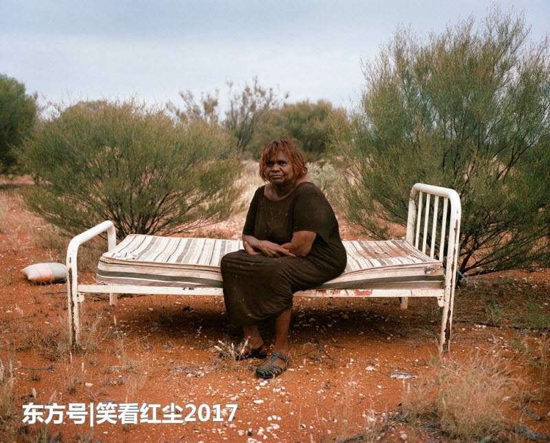 来自澳大利亚的有趣照片 来自澳洲的那些趣事，袋鼠乱穿马路，蛇