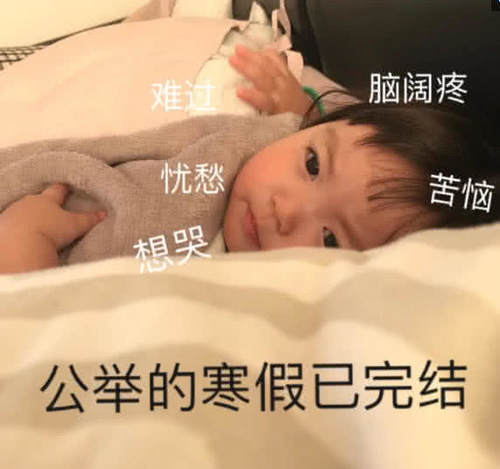 史上最可爱的表情:带我出去玩,好不好?我给熊抱的熊本表情包图片
