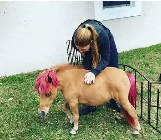 比尔盖茨女儿vs乔布斯女儿,富豪千金的男朋友