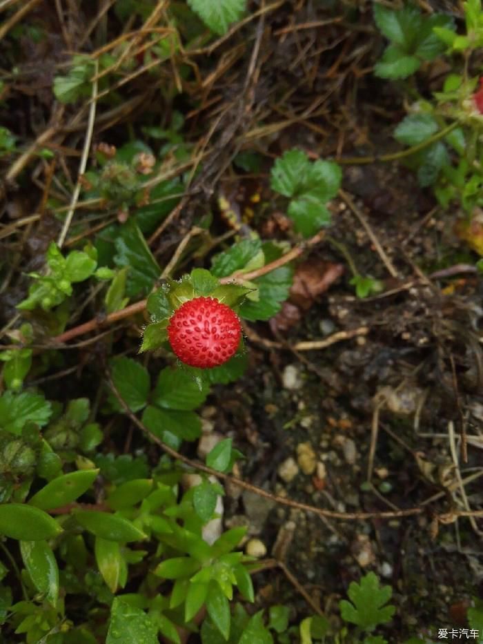 陕西福特车队秦岭大峪自驾游汇报帖