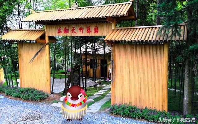 湖南西部有一座会“变红”的山，因一种让人“吃饱饭”的花而出名