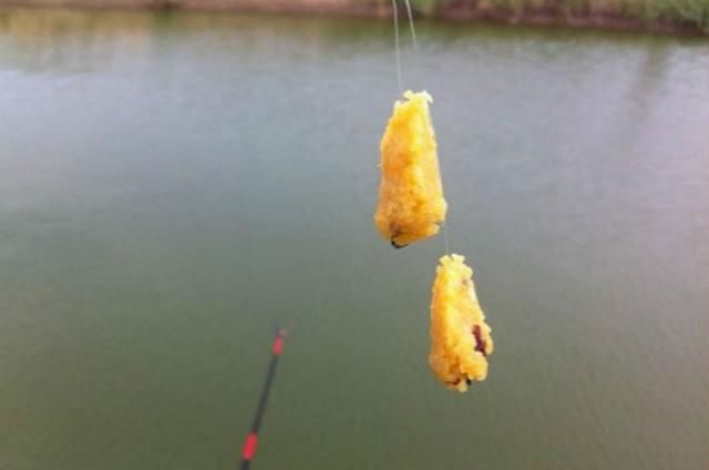 夏季垂钓鲫鲤鱼，使用这几款配方鱼获真的太好了！