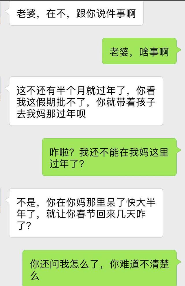 “婆婆，孩子你一天都没带过，过年想要我陪你？想的真美！”