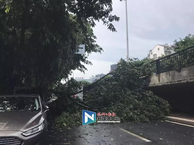 11级大风！383次闪电！大雨如注！福州都经历了什么？！