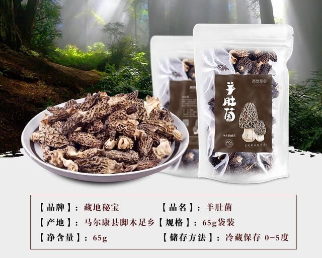 探秘食品“软黄金”羊肚菌 价格破千却供不应求