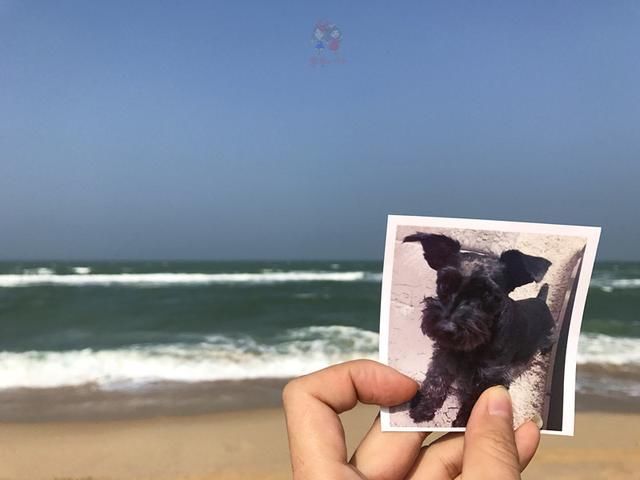 别再只盯着三亚了！海南还有随便捡鱼的海滩和野果满树的古村！