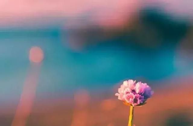 最好的关系,是不必刻意压抑自己!