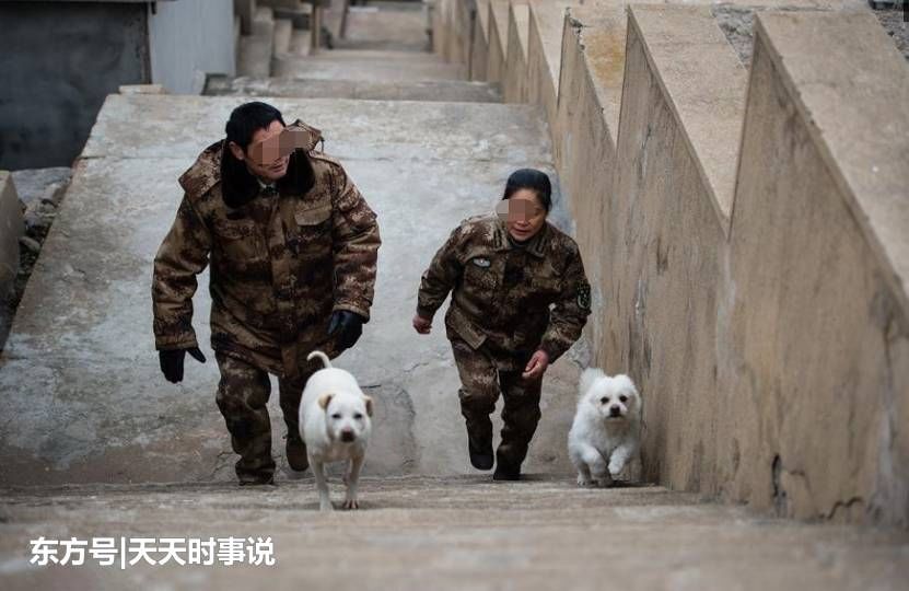 只有两口子的“部队”，守护荒岛30年，有我一天国土就在一天