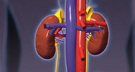 多喝水伤肾还是养肾?喝错对健康伤害这么大,为