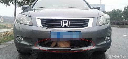 开车遇到这几种情况，不要害怕，请直接撞过去吧!