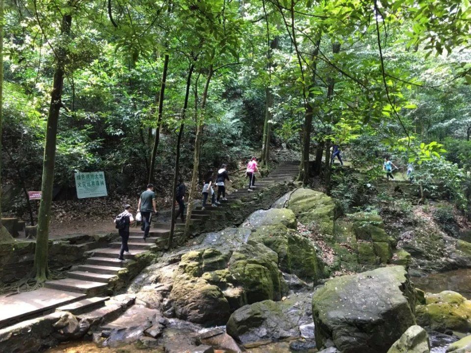 新星湖十景您知道吗?五月这样游星湖!