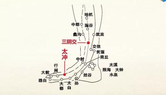 高考在即，焦虑、失眠等考前综合症频发，考生家长如何应对？