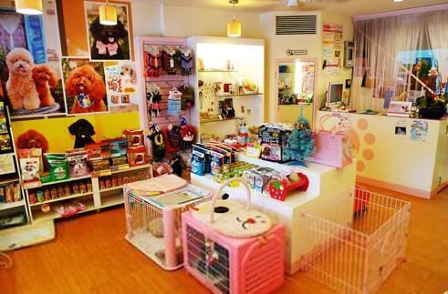 屌丝逆袭的五大创业项目:投资小、赚钱快