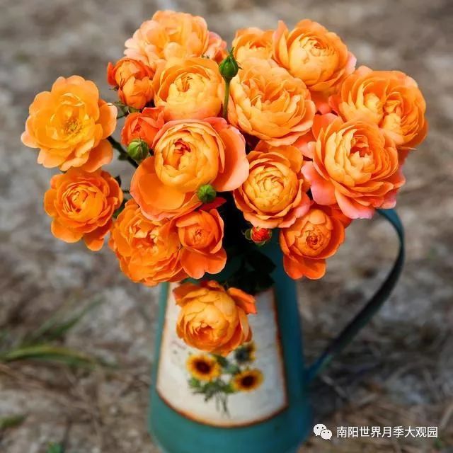 t012e3ad1c7abd7da08.jpg