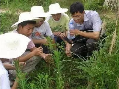 中国农民十种赚钱最不容易的工作