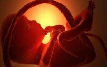 孕晚期,胎儿连续抖动,是宝宝缺氧?可能是你太
