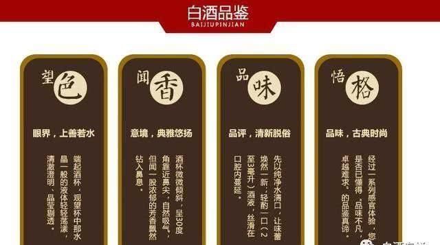 酒鬼酒是什么人