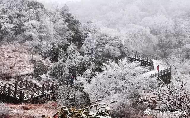 福建下雪啦：你可欣赏过白雪皑皑银装素裹的家乡？