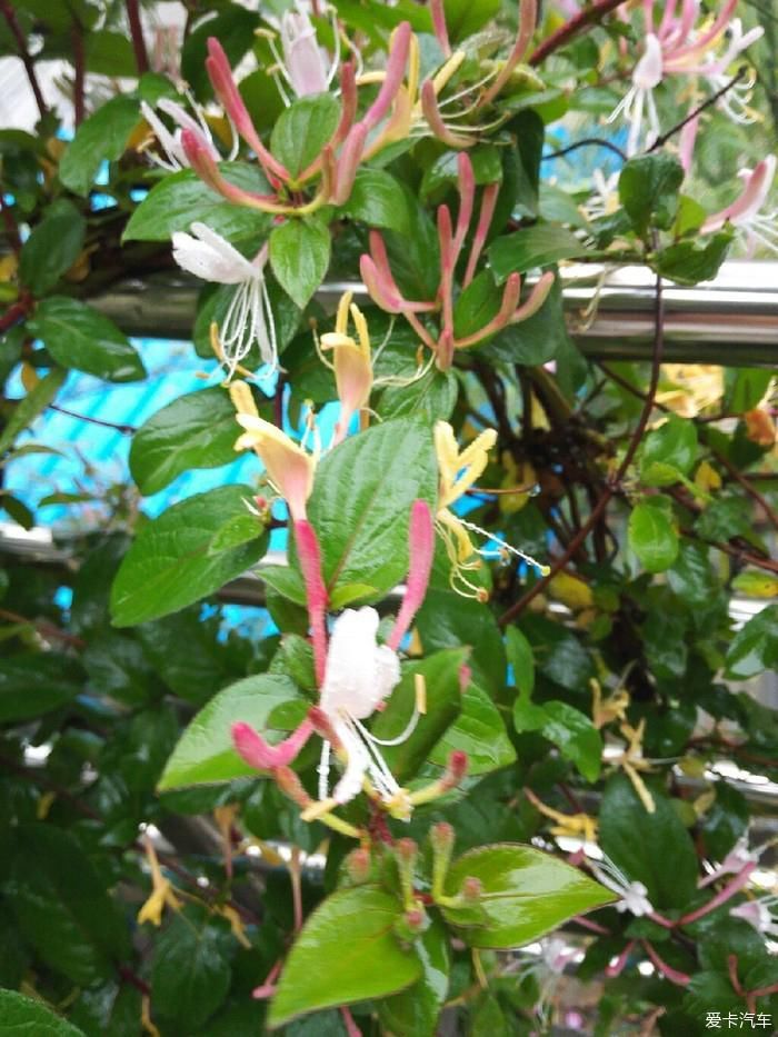 陕西福特车队秦岭大峪自驾游汇报帖