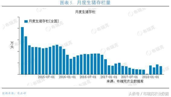 节前生猪预警，猪价出现区域性上涨，整体6月行情以稳中震荡为主