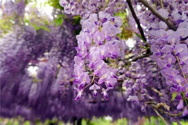 你家的盆栽到啦！快来领取！