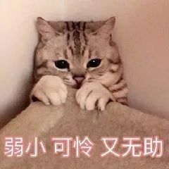 \＂五一\＂三天都下雨…沈阳人这个假期彻底\＂凉了\＂!
