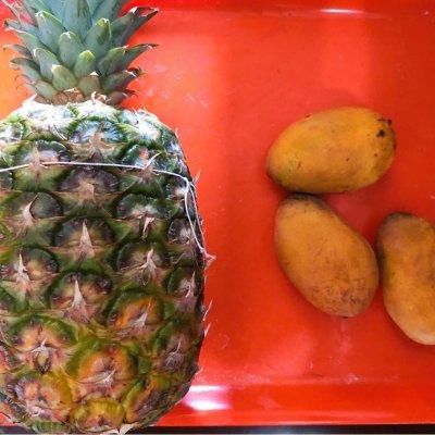 芒果怎么切块儿 t012fca53283598604c.jpg