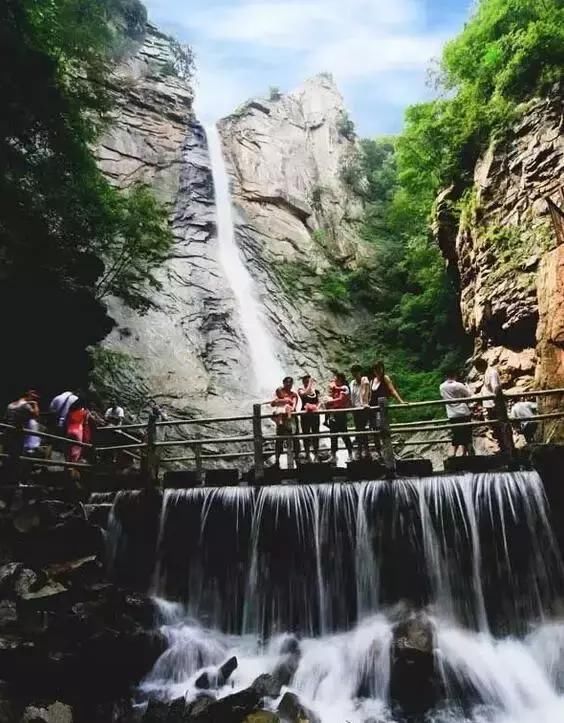 河南这5个地方的野生杜鹃山都染红了天！趁着假期赶紧看花去