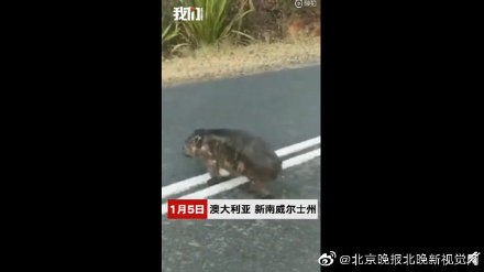 澳洲18年19年大火