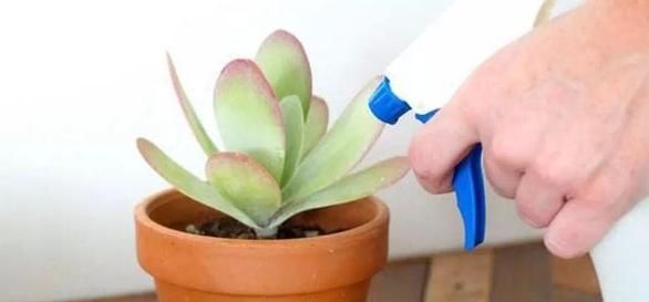 人员管理的五大要素