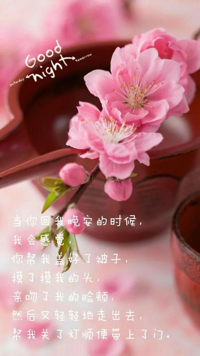 早安,2018最新漂亮问候动态带字图片,献给我最