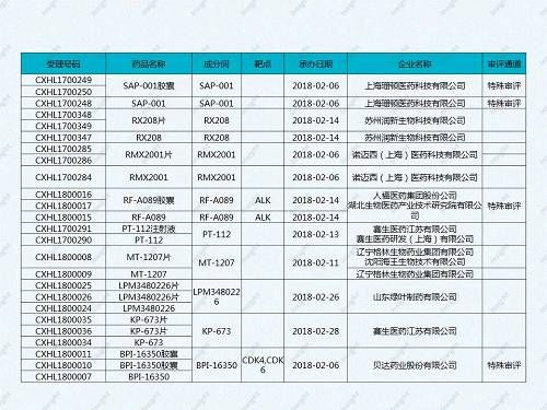 2018年2月CDE药品审评报告