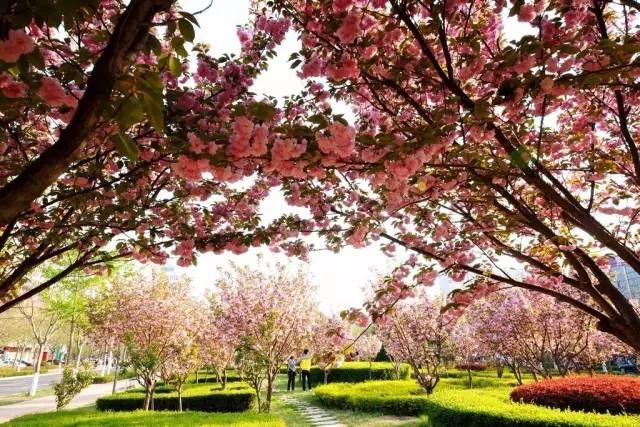 清明节小长假不知道去哪玩?郑州周边1-3日游线