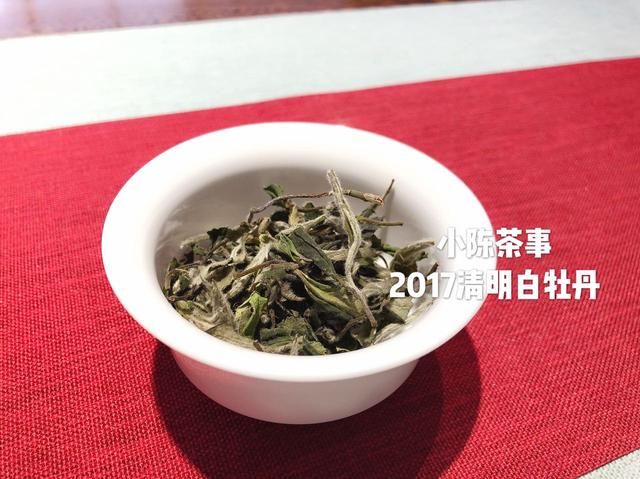 白茶春茶季到了，春茶、头春茶、明前茶、雨前茶,你分清了吗?