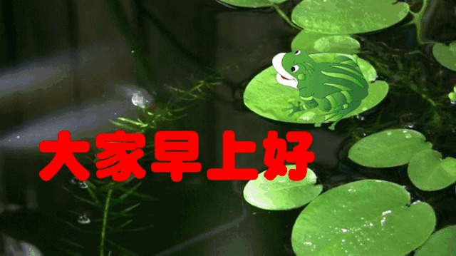 最漂亮早上好图片大全动态qq表情表情,早上好v图片语动态图片