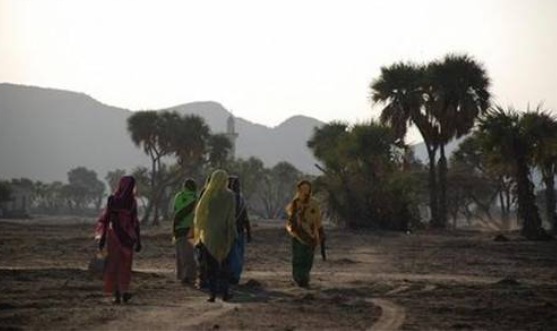 厄立特里亚gdp_厄立特里亚人图片