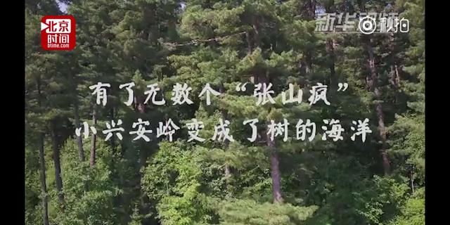 黑龙江老人坚持种树20年，种植上百万棵树，成就大森林