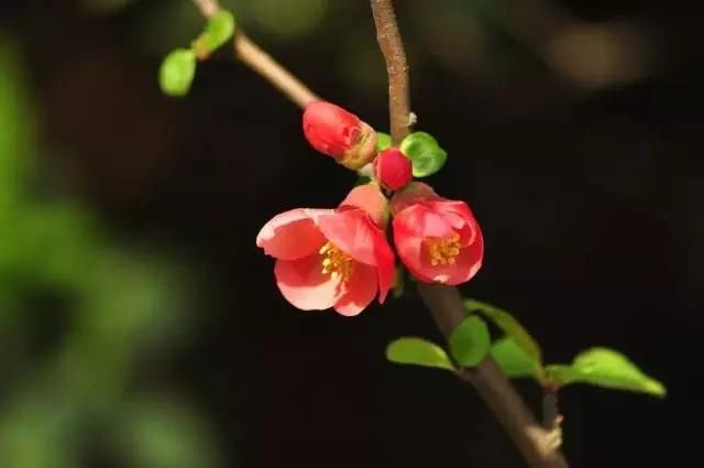 79岁老人生活感悟的经典句子,句句精辟有哲理