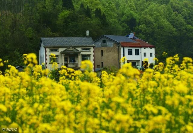 农村宅基地遇到拆迁，应该如何补偿？